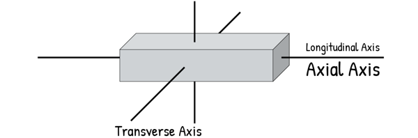 Longitudinal and Transverse Axis
